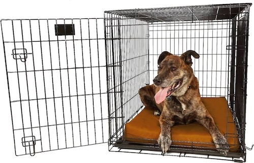 big barker crate pad