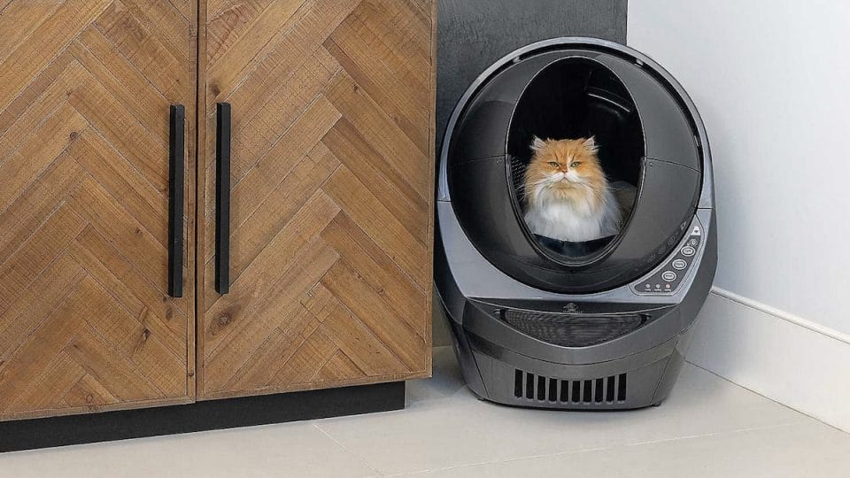 cat in Litter Robot automatic litter box next to cabinet