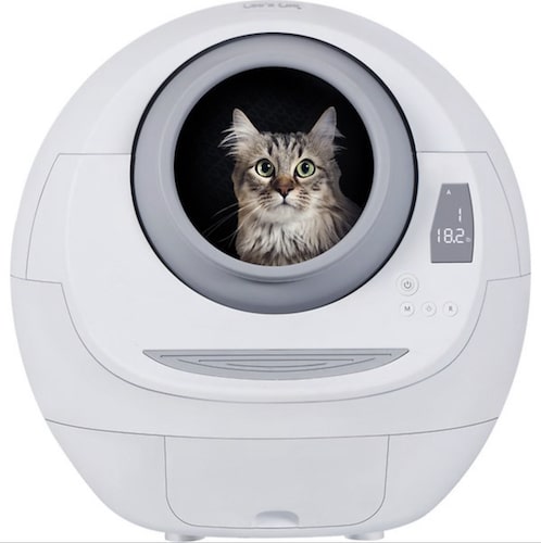 cat looking out from round Smarty Pear automatic cat litter box