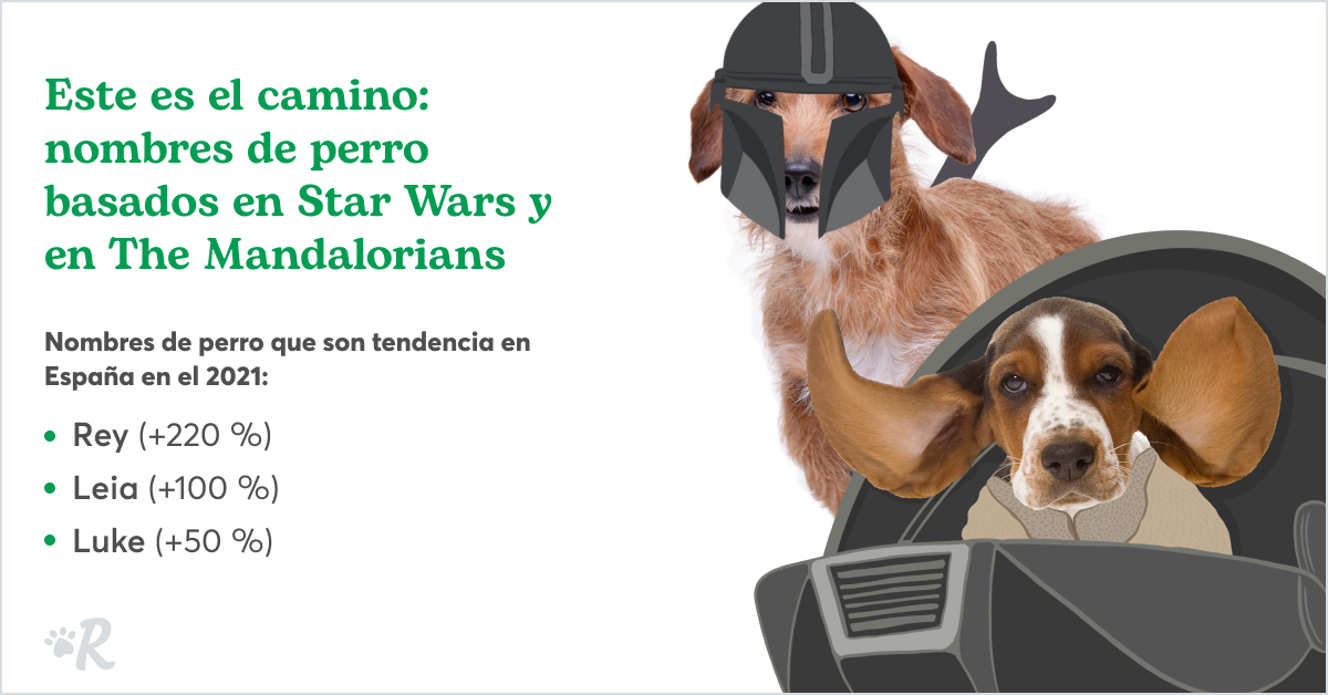 Dog numbers based on Star Wars and The Mandalorians