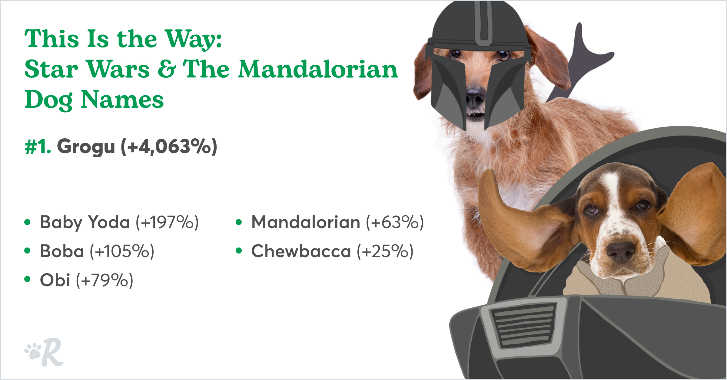 Trending Mandalorian and Star Wars themed dog names.