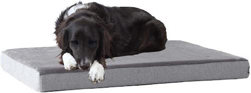 A black and white dog sleeping on a Barkbox Memory Foam Platform Dog Bed