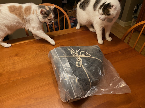 cats with package