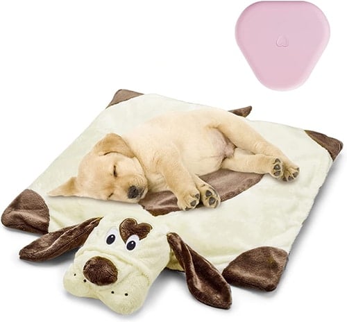 dog sleeping on blanket with dog head and tail