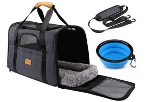 Photo of Morpilot pet carrier to aid car travel with your cat