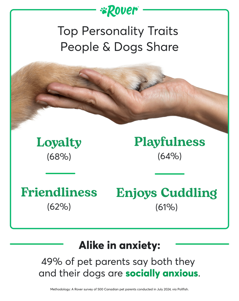 Top personality traits that dogs and humans share. A human hand holding a dog paw.