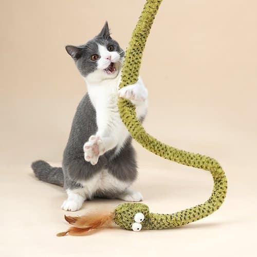 Grey and white cat playing with a snack-themed string toy.