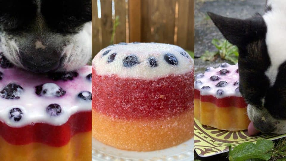 berry delicious summertime layered fruit and yogurt ice lick for dogs