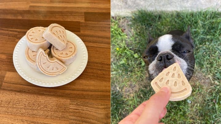 Olive taste tests her peanut butter popsicle
