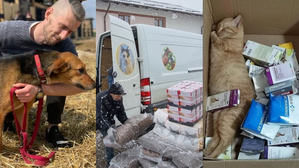 rescue animals Ukraine