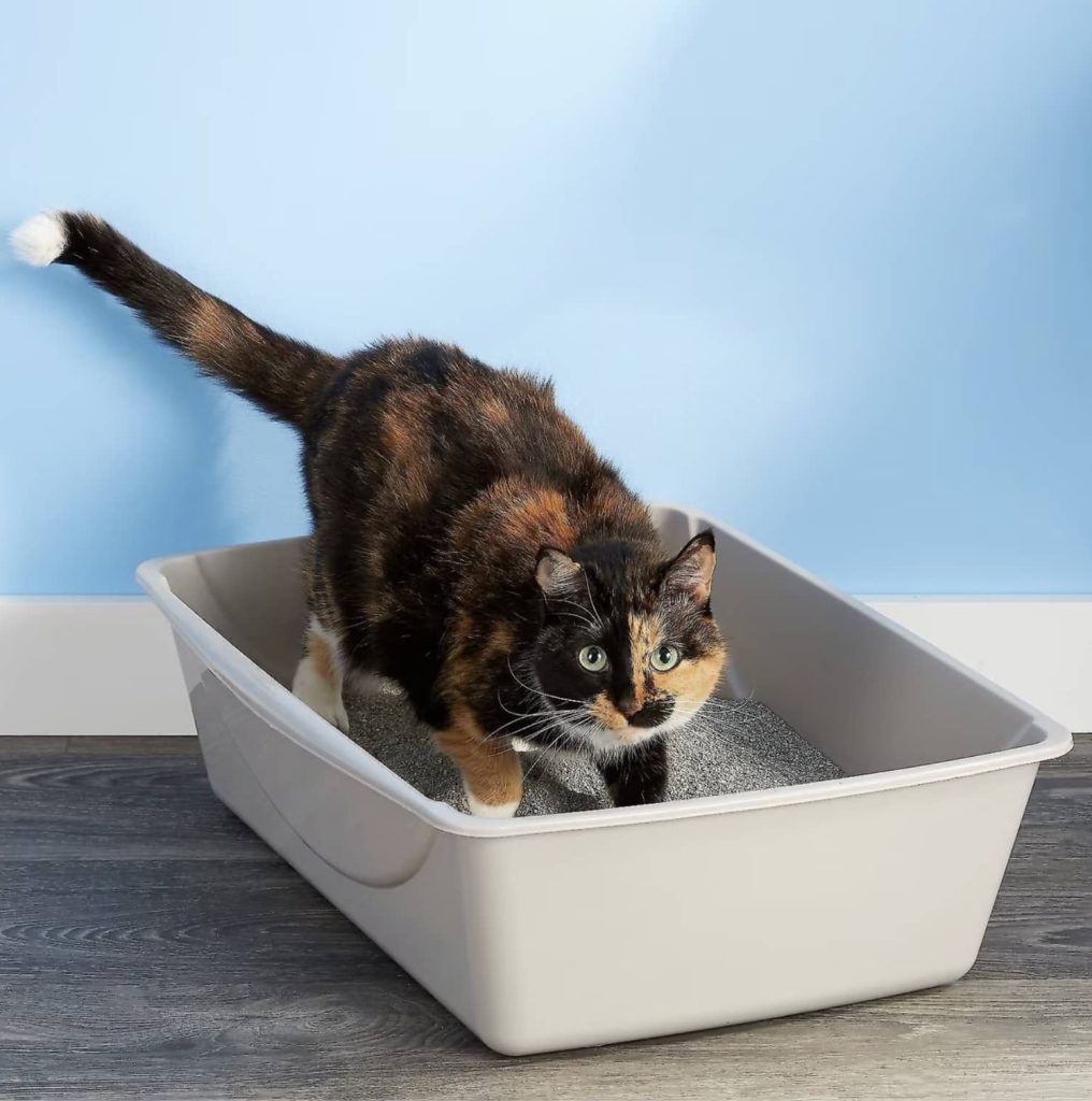 Petmate litter box