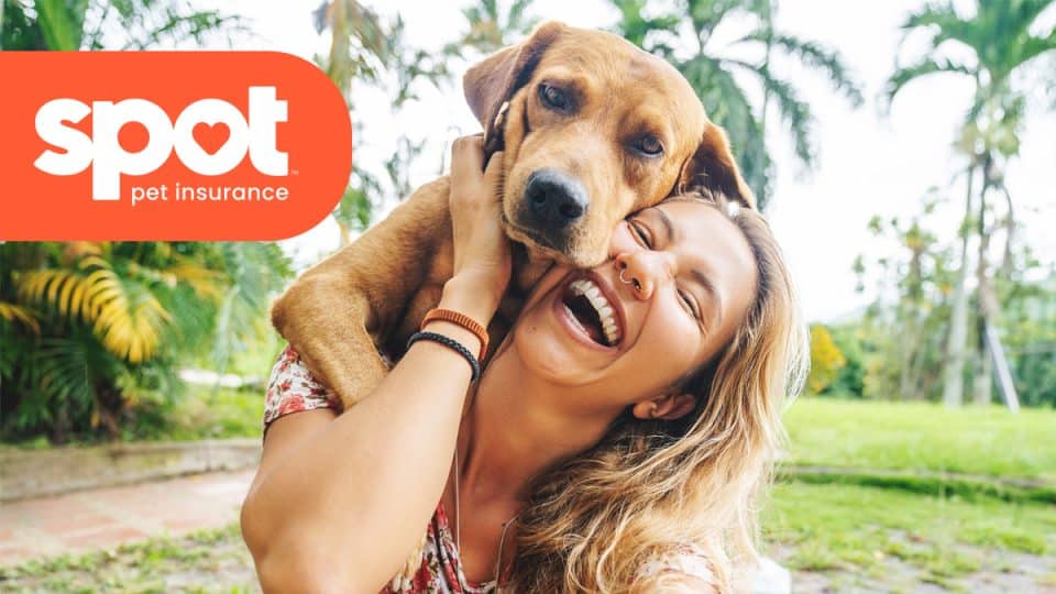 Laughing woman carrying dog on back with Spot logo