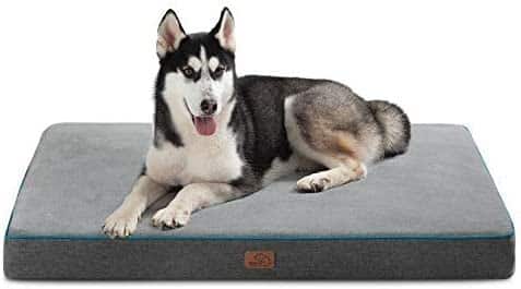 A Husky sitting on a large grey Bedsure Orthopedic Dog Bed