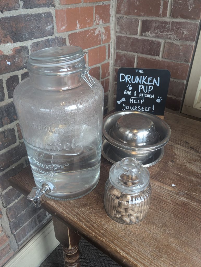 Table for doggy snacks and water