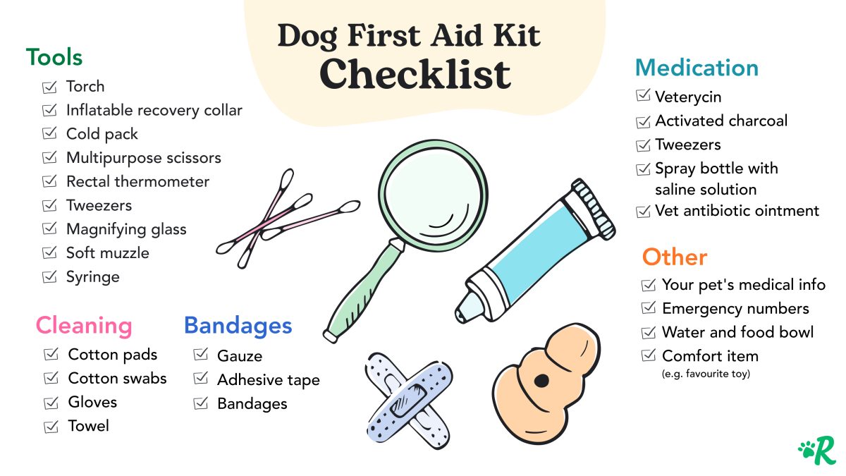 Dog First Aid Kit What Should You Put in a Dog's Emergency Supply?