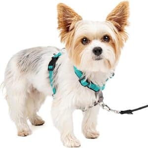 PetSafe 3-in-1 Harness