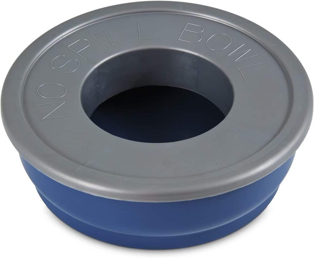 The 8 Best NoSpill Dog Water Bowls for MessFree Drinking