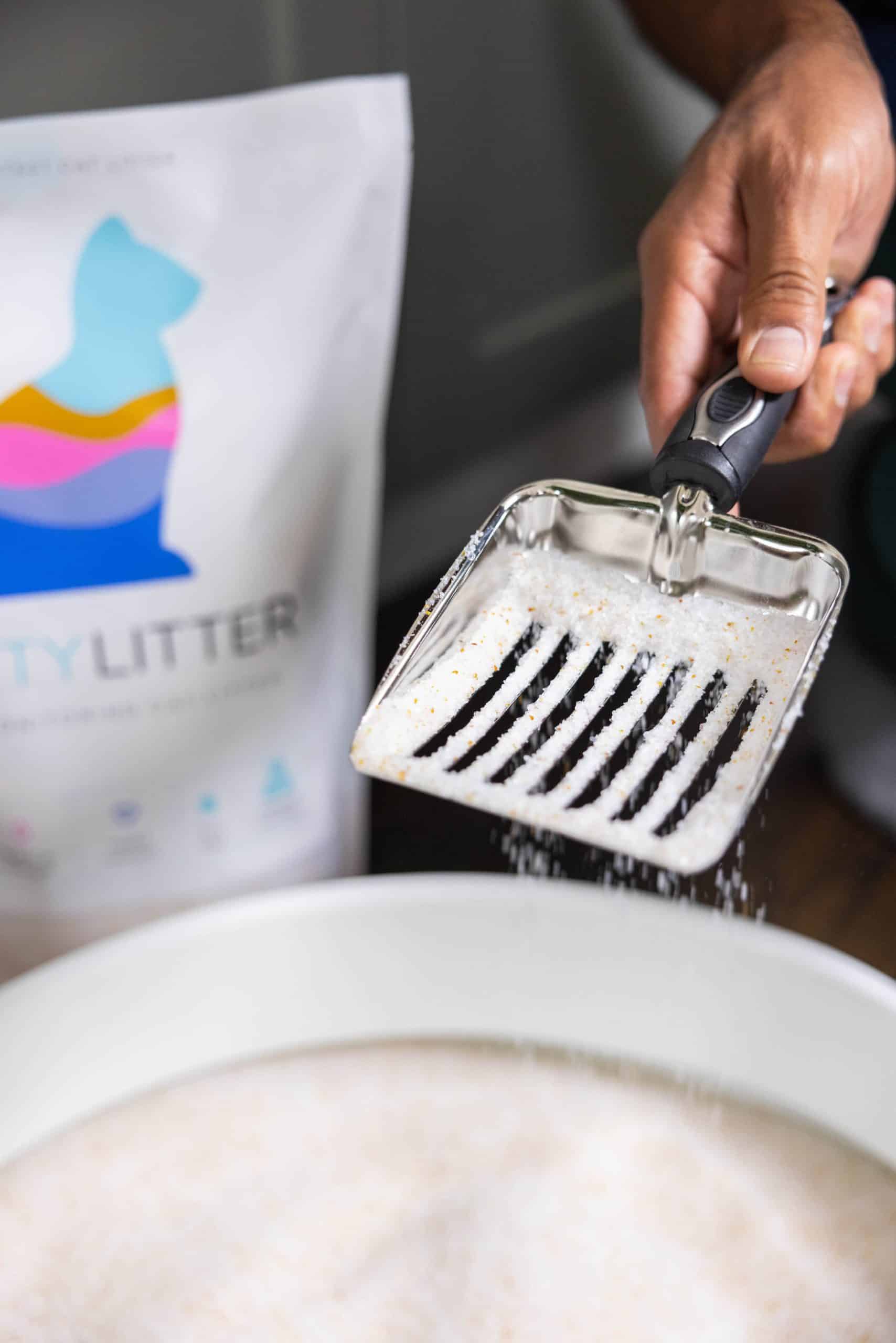 Pretty Litter Review Detecting Cat Urinary Tract Problems