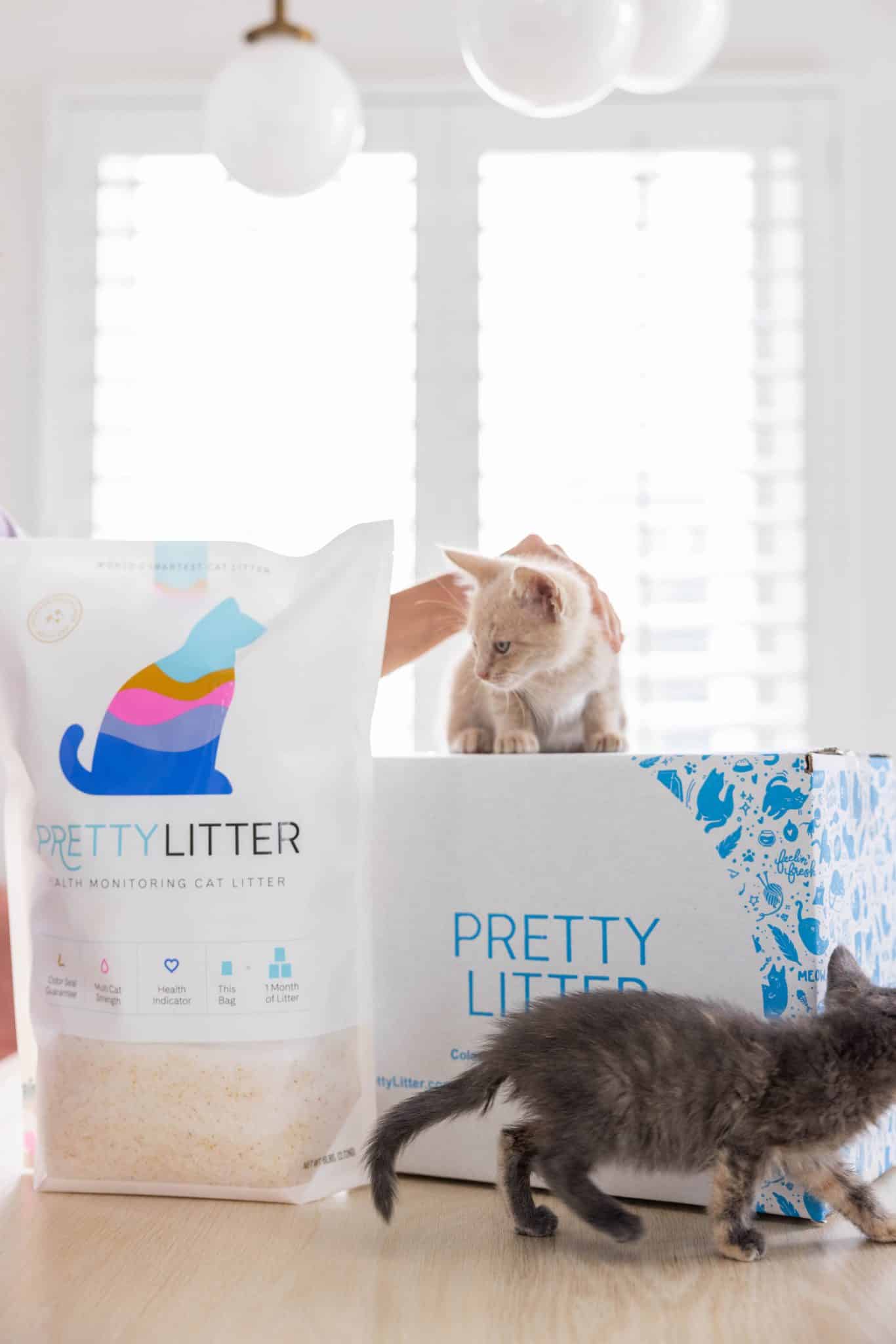 Pretty Litter Review Detecting Cat Urinary Tract Problems
