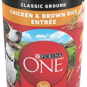 purina ONE chicken and rice recipe wet food