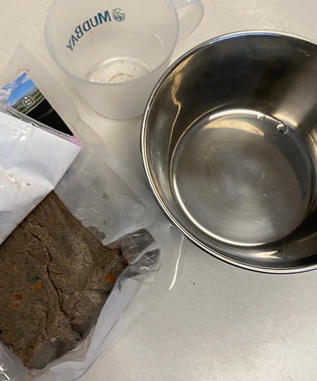 reviewing Raised Right dog food pork recipe: open package, measuring cup, and dog bowl