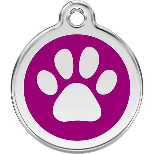 dog identification tag for walking
