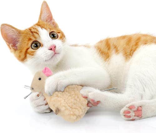 White and orange cat playing with a plush mouse toy.