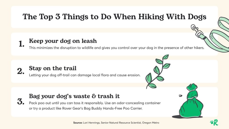 Infographic about the top 3 things to do when hiking with dogs: 1. Keep Your Dog on Leash. 2. Stay on the trail. 3. Bag your dog's waste and trash it.