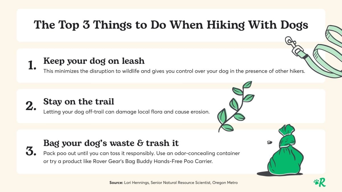 Infographic about the top 3 things to do when hiking with dogs: 1. Keep Your Dog on Leash. 2. Stay on the trail. 3. Bag your dog's waste and trash it. 
