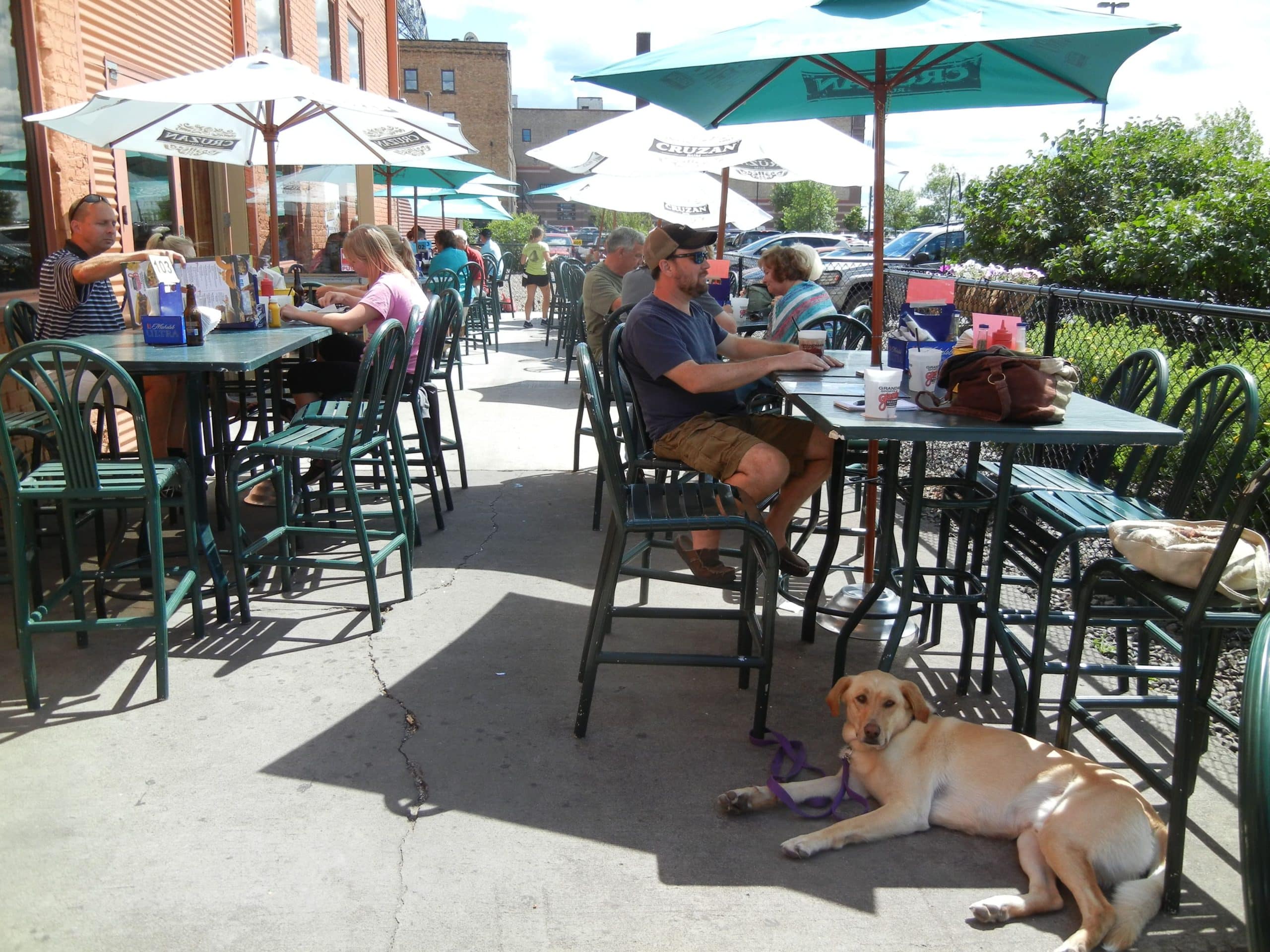 A dog joins a customer at an outdoor restaurant.