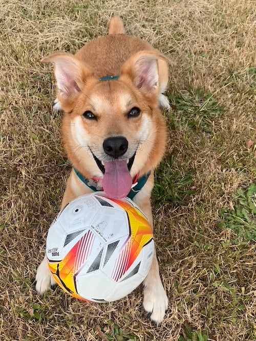 Roo and soccer ball toy