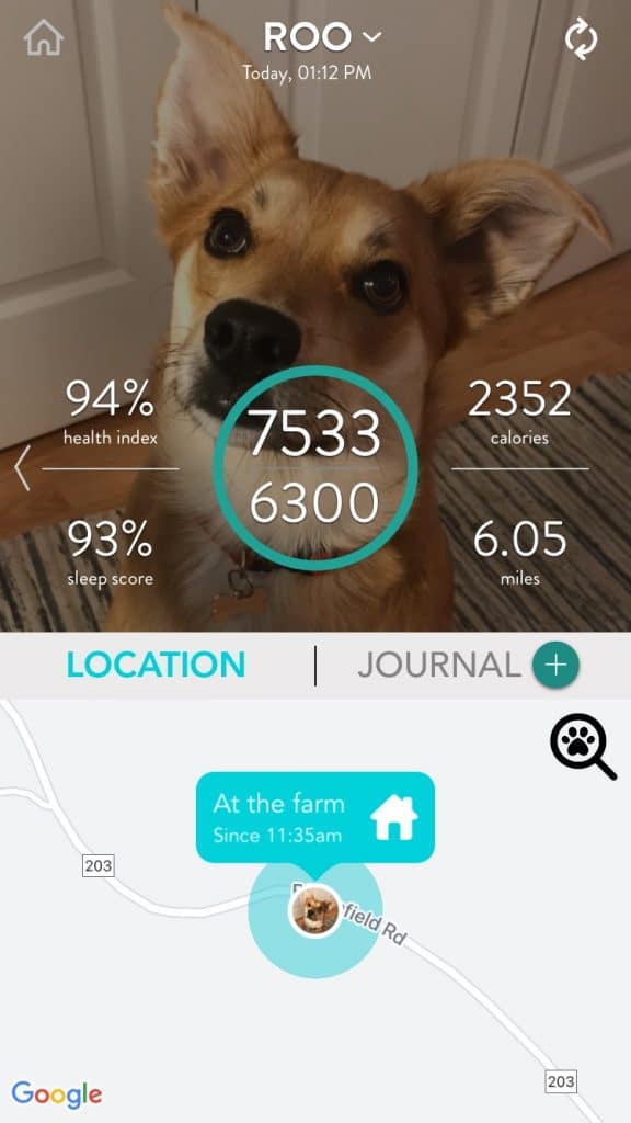 Roo's FitBark App Profile