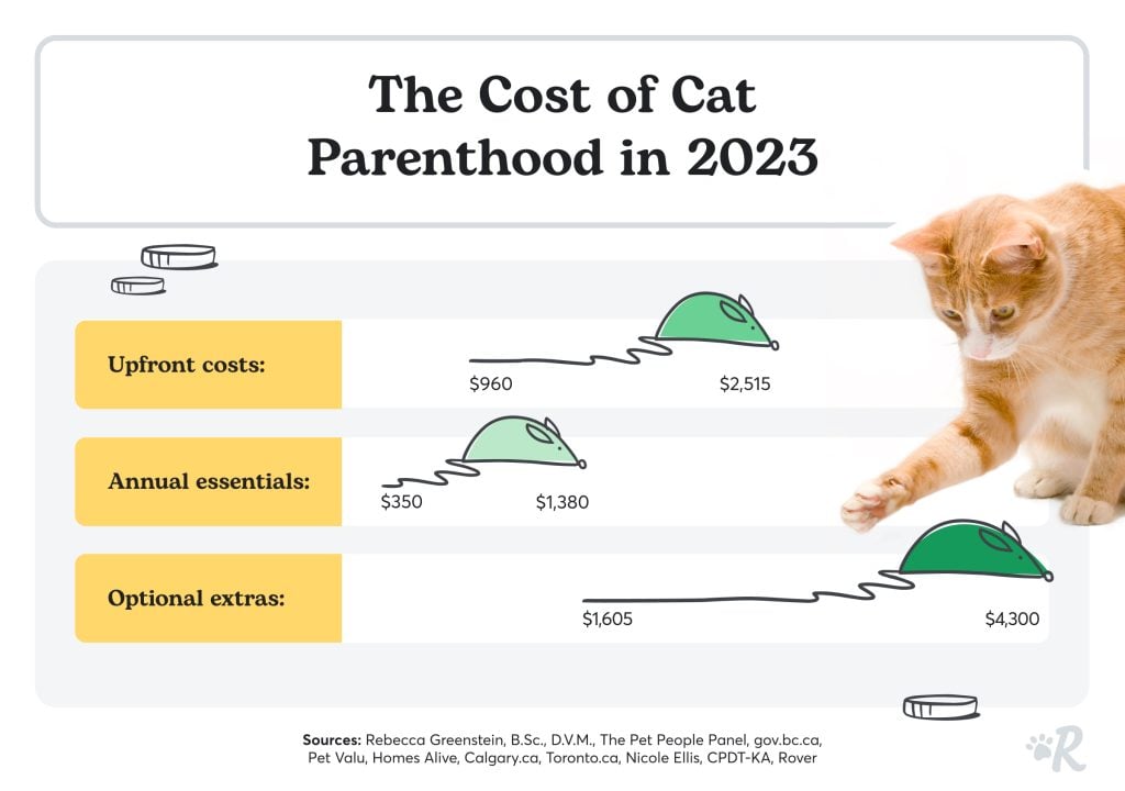 A cost breakdown of the cost of cat parenthood in 2023