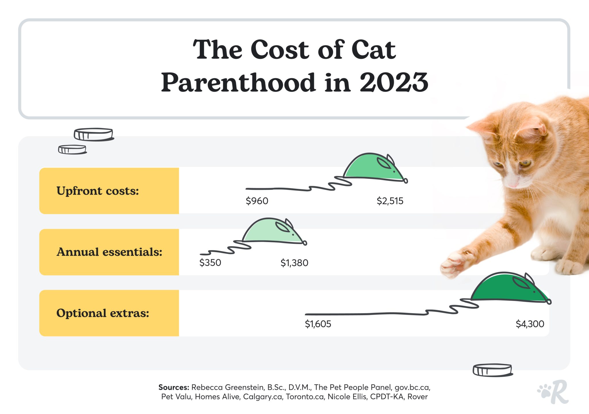 The Cost of Cat Parenthood in 2023
