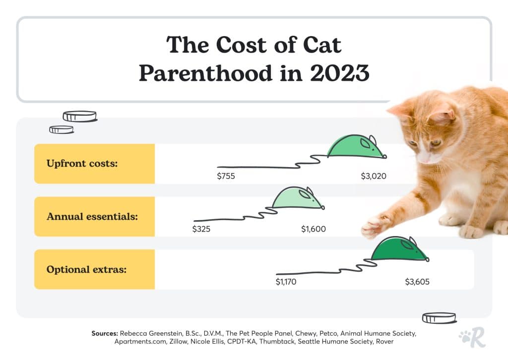 A cost breakdown of the cost of cat parenthood