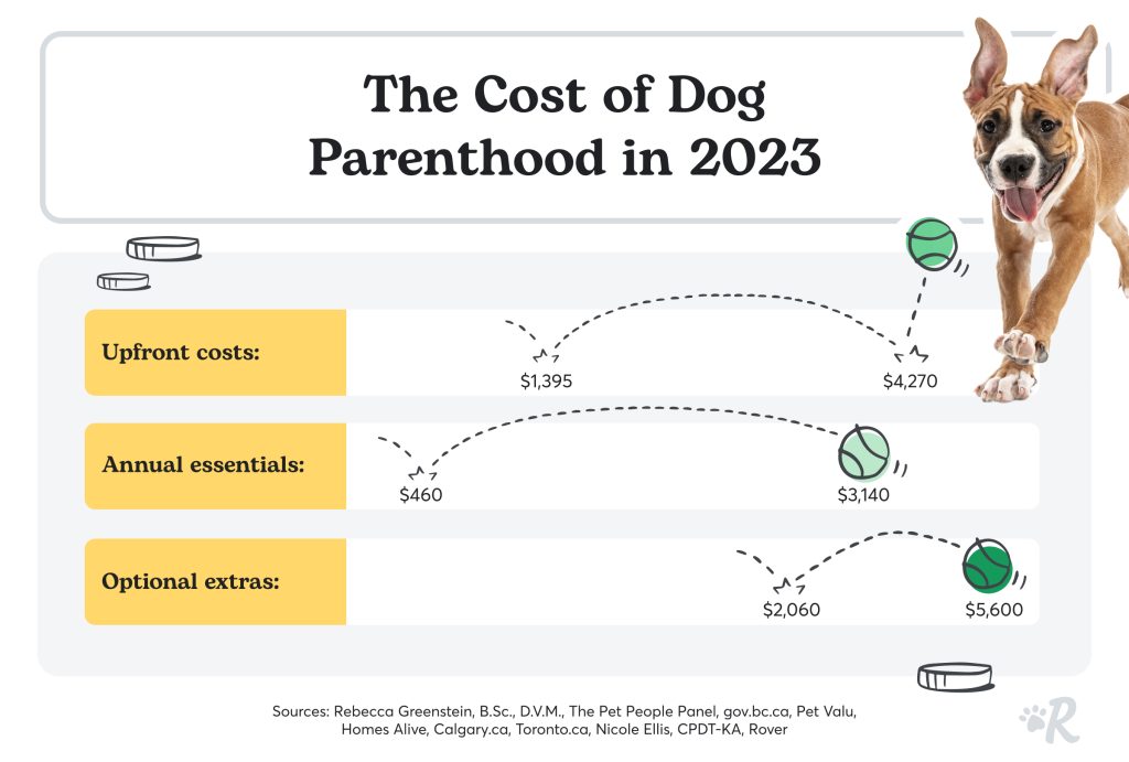 A cost breakdown of the cost of dog parenthood in 2023