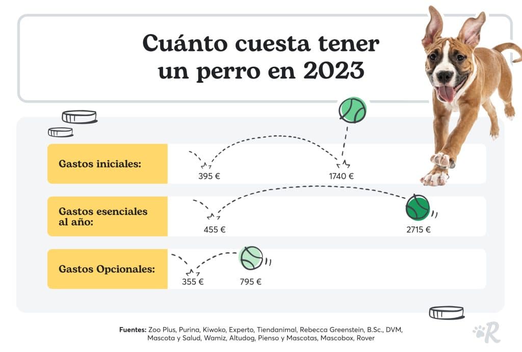 Cuanto cuesta tener un perro
