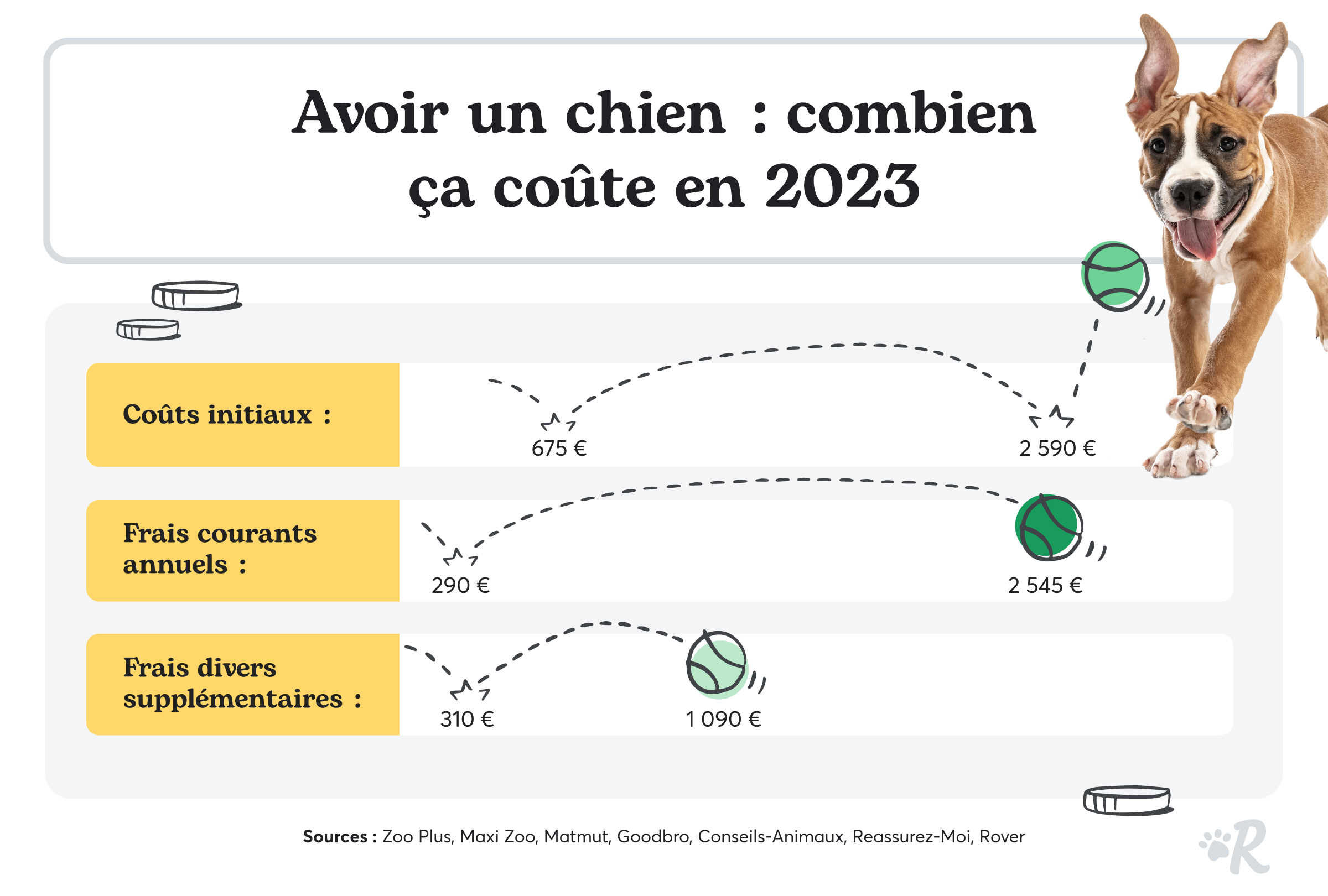 Le coût d’être propriétaire de chat