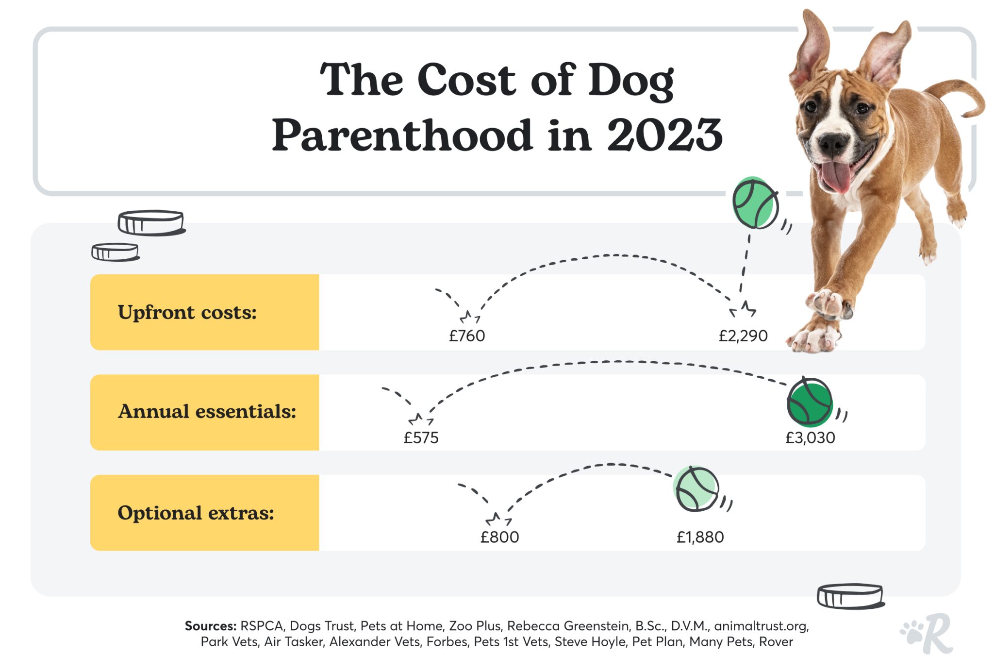 The Cost Of Dog Ownership 2022 Dog UK 1 2048x1382 