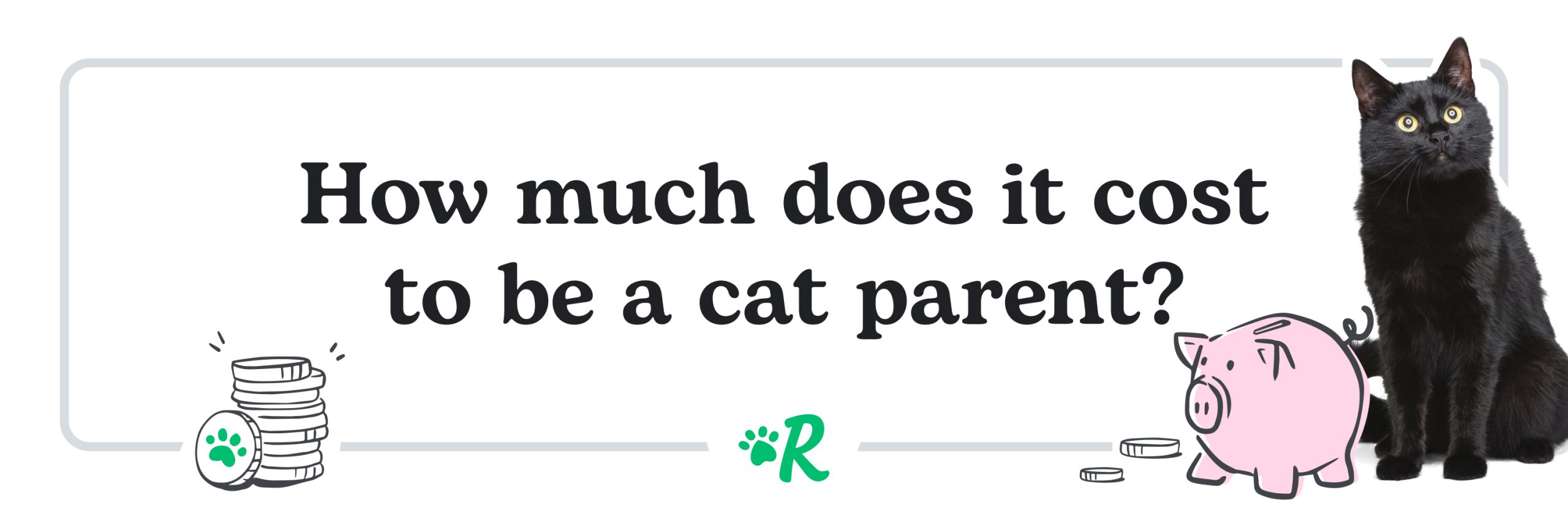 How Much Does It Cost to Have a Cat?
