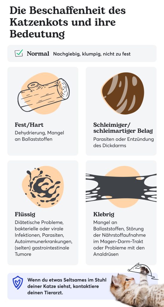 Katzenkot bei Erkrankungen: Tabelle zu Farbe, Beschaffenheit und Ursachen