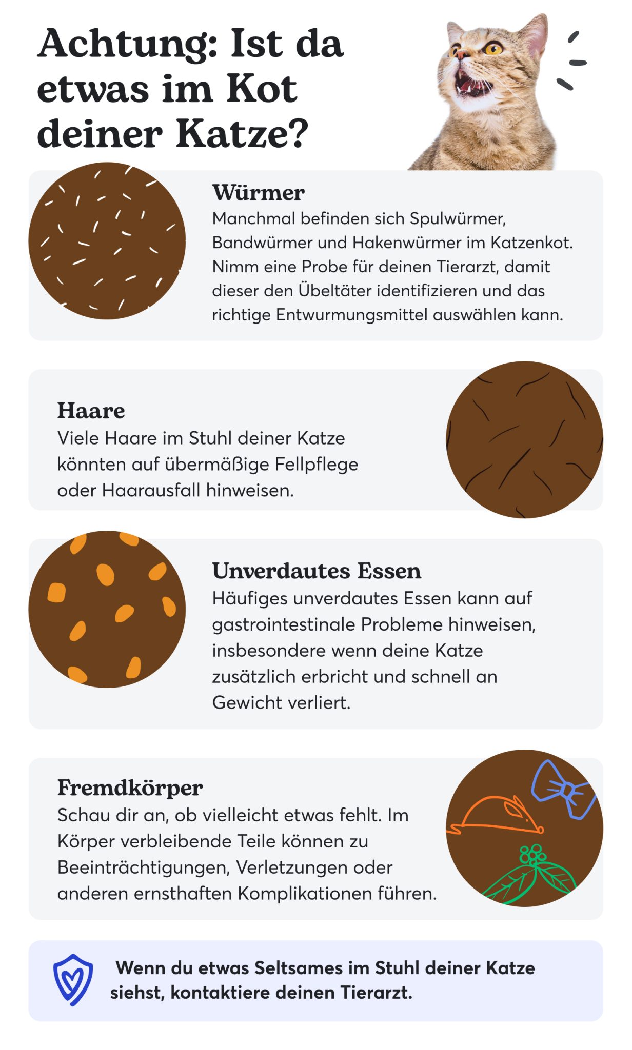 Nachhaltig leben im Alltag: Kleine Schritte, große Wirkung