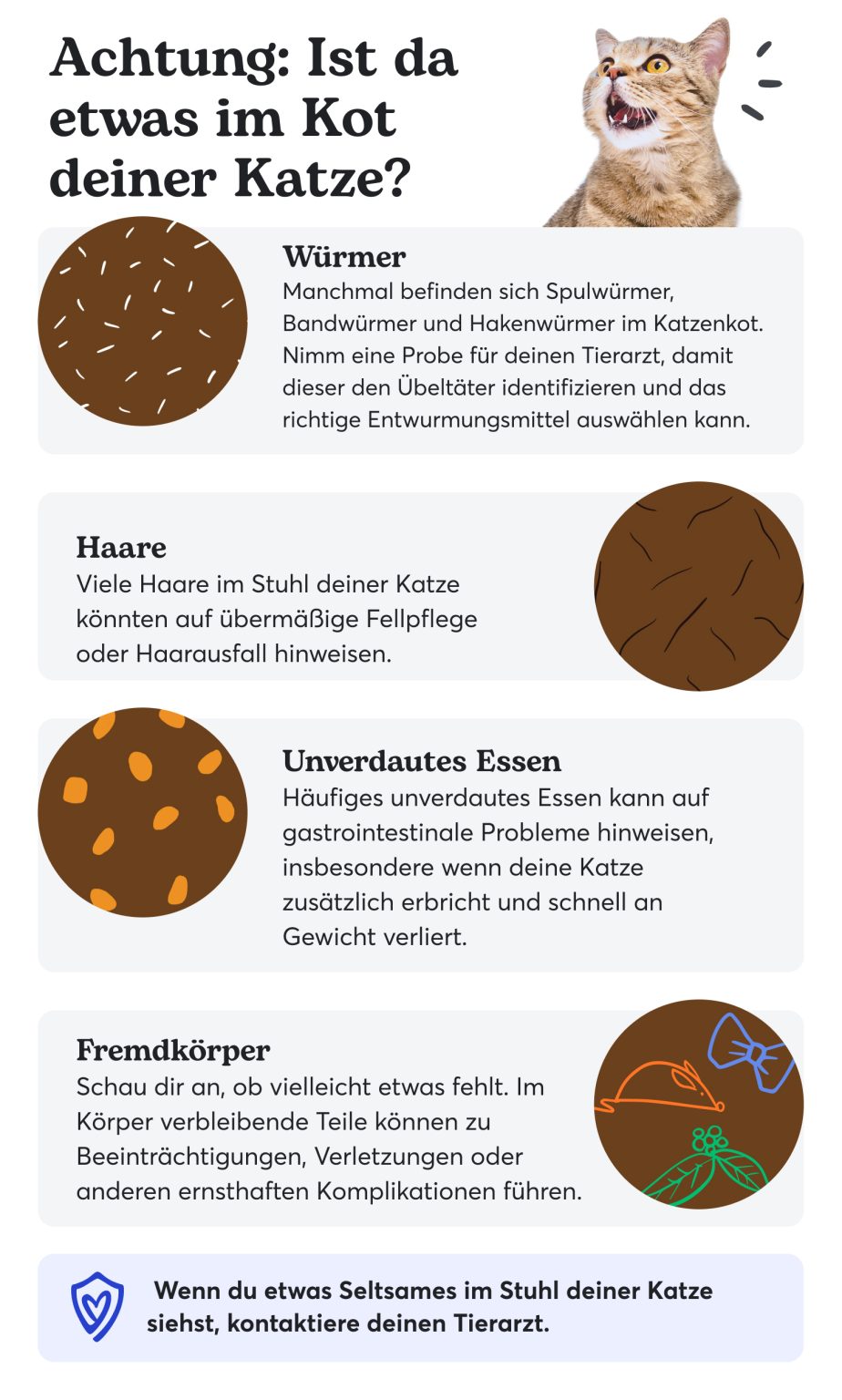 Nachhaltig leben im Alltag: Kleine Schritte, große Wirkung