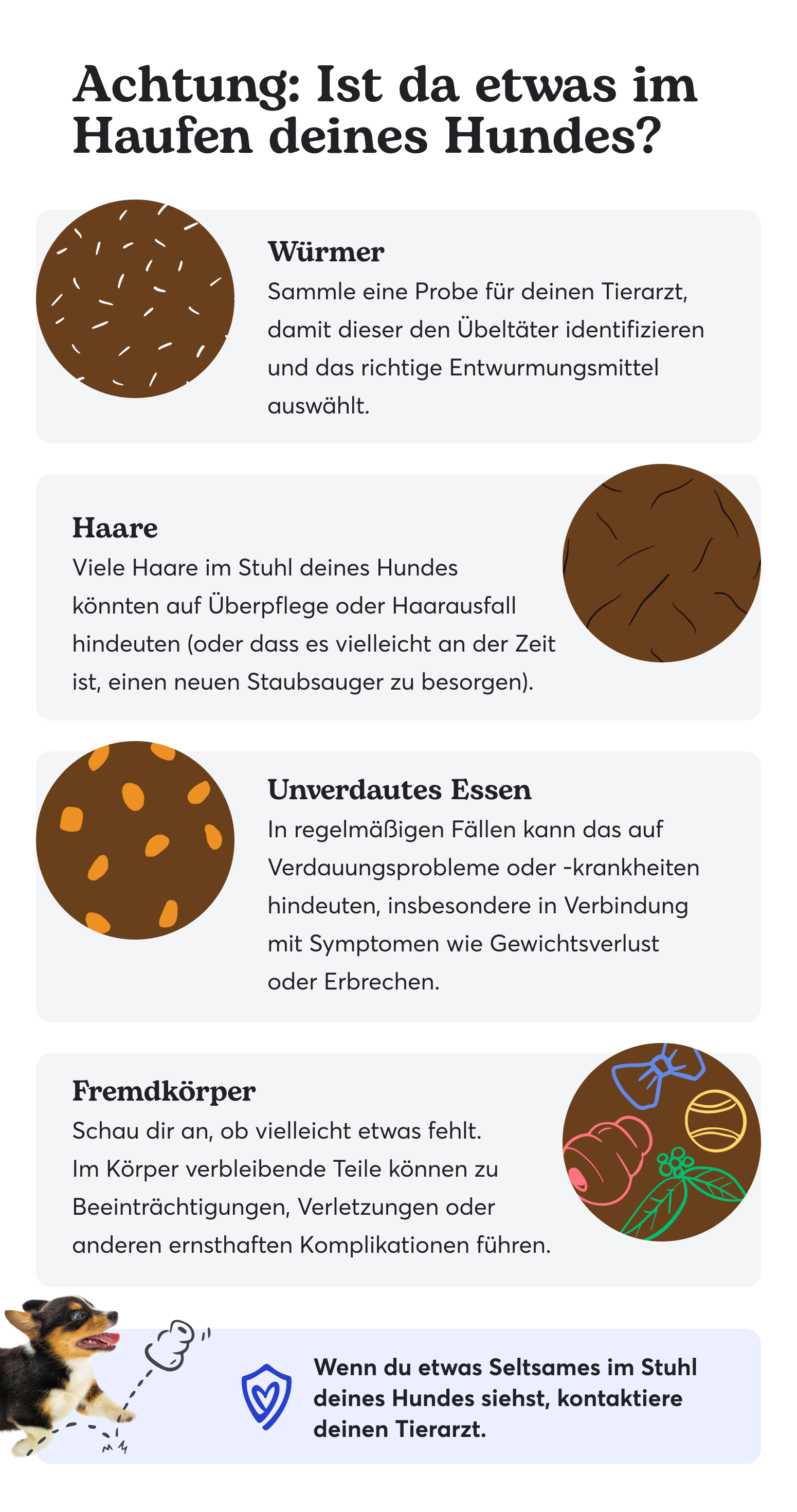 Hundekottabelle Welche Farben Haben Gesunder Und Ungesunder Kot 