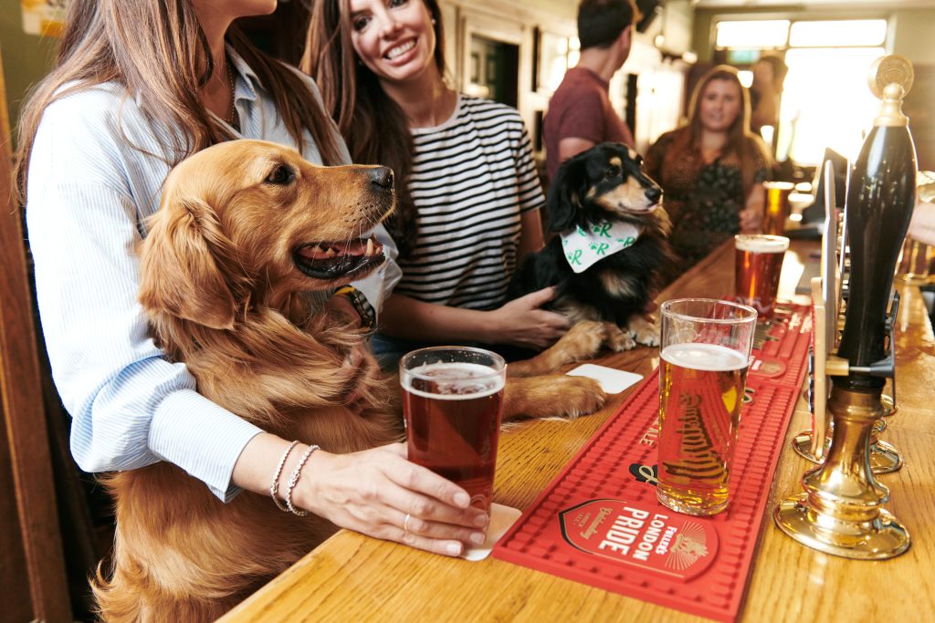 Dogs in pub