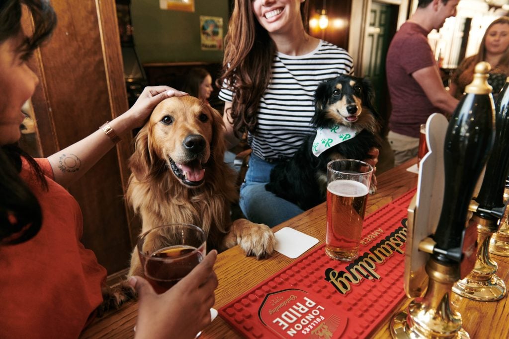 Dogs in pub