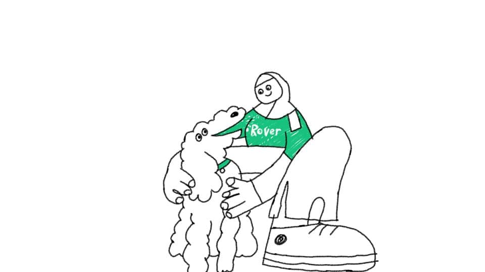 Illustrated Rover sitter in a green shirt hugging a Doodle