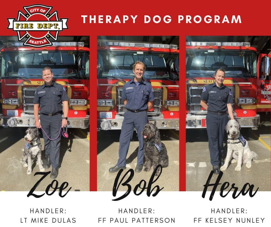 Firefighters and therapy dogs