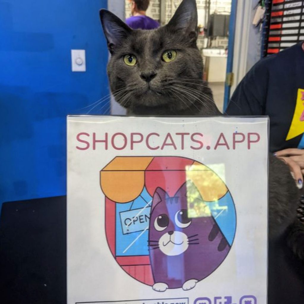 shop cats app sticker