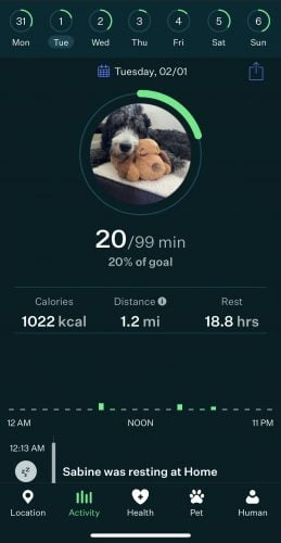 Nap Insights from Whistle Go Explore